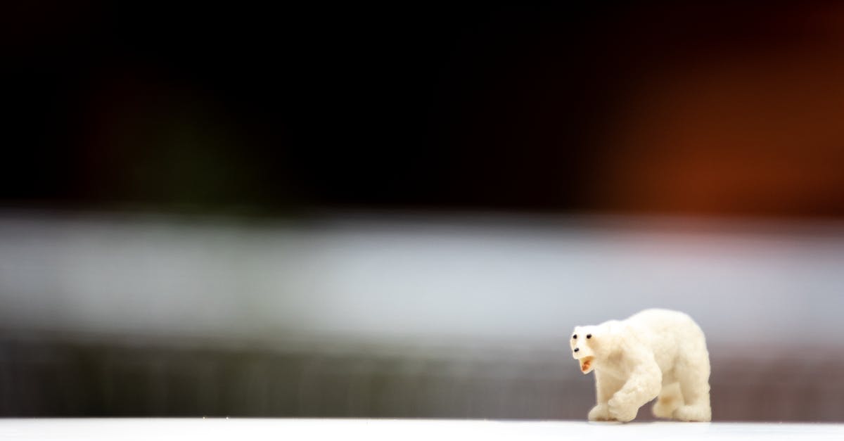 What did the polar bear signify at the end of Snowpiercer? - Depth of Field Photo of Polar Bear Figurine