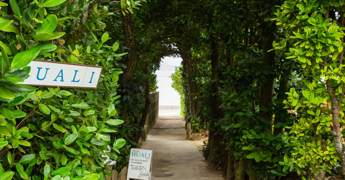 What did the title of Silence of the Lambs refer to? - Pathway with inscriptions between greenery trees in urban garden