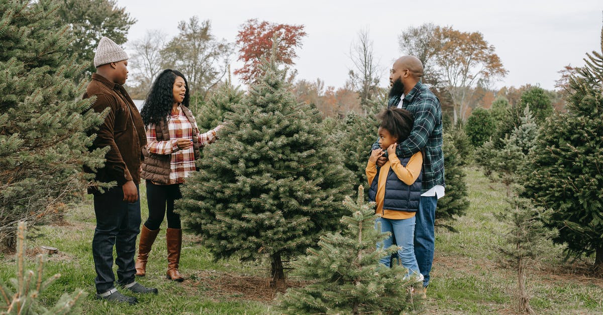 What do Majid's son and Pierrot discuss at the end? - Black family choosing Christmas tree in field