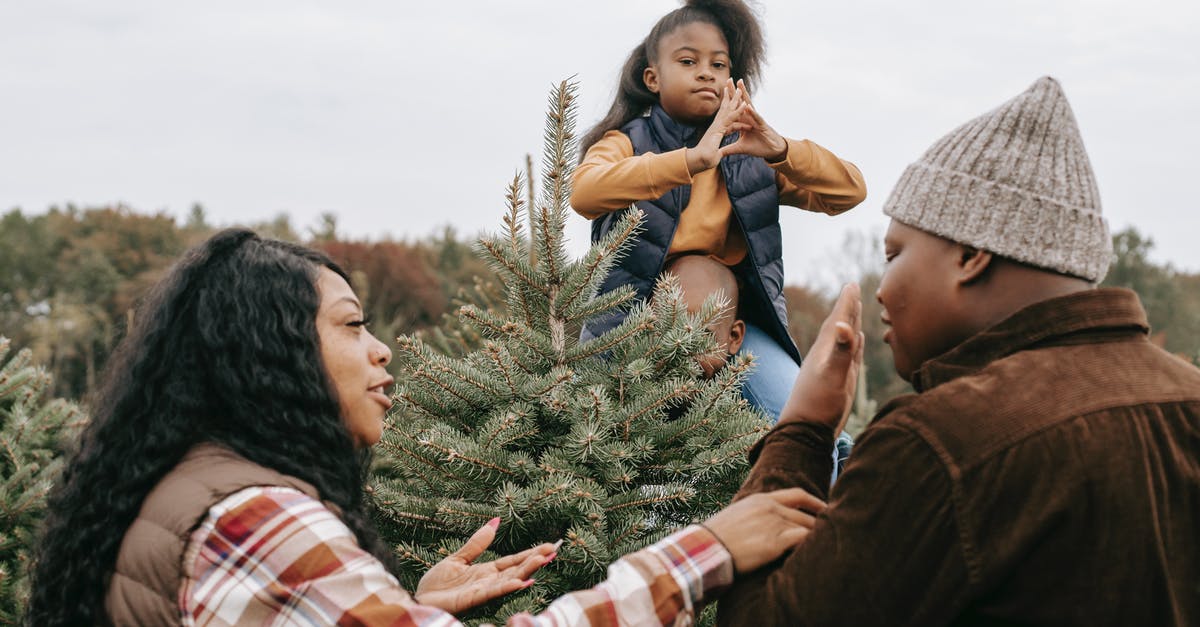 What do Majid's son and Pierrot discuss at the end? - African American family gathering around fir tree and talking while choosing Christmas tree for celebrating holiday