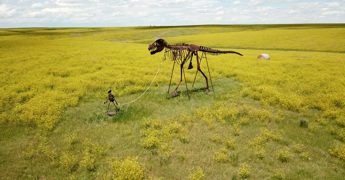What do these skeletons represent? - Skeleton Man Walking Skeleton Dinosaur on Green Grass Field in Midland, United States