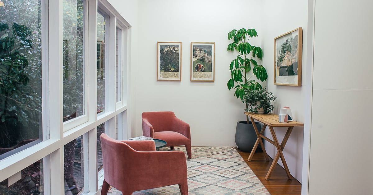 What do they use in place of actual marijuana plants? - Interior of light hall with windows and armchairs on carpet near table and potted plant with pictures placed on white wall