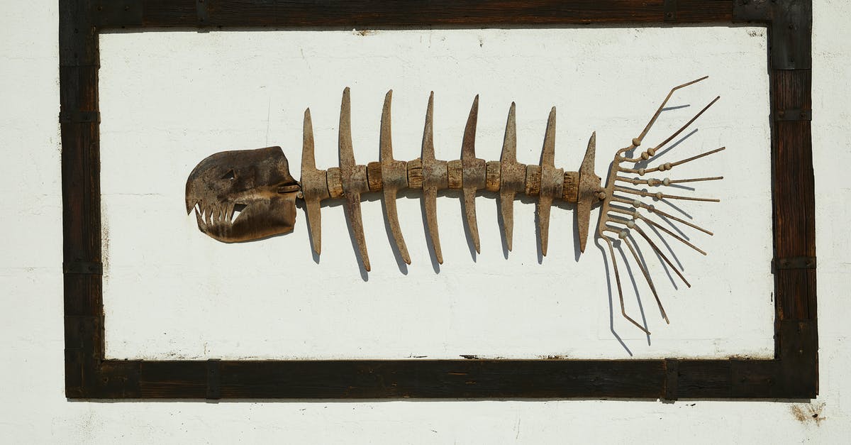 What do we know about the creature whose skeleton we see in Star Wars? - Handmade skeleton of predatory fish with sharp teeth in black frame hanging on wall