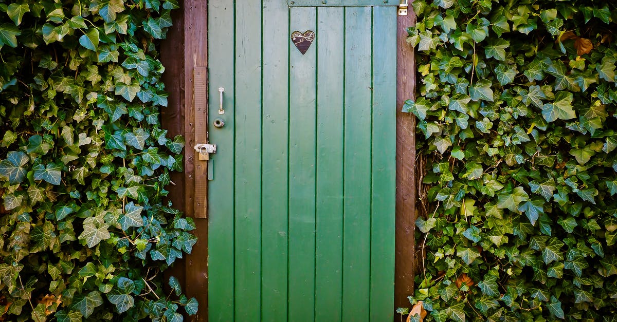 What does Ivy mean in this exchange? - Green Door and Green-leafed Plants