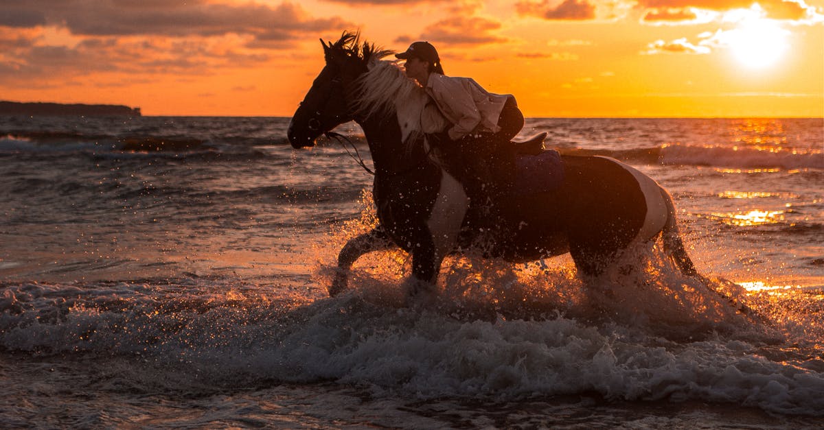 What does the horse symbolise in Batman v Superman: Dawn of Justice? - Equestrian riding a Horse on Seashore during Sunset 