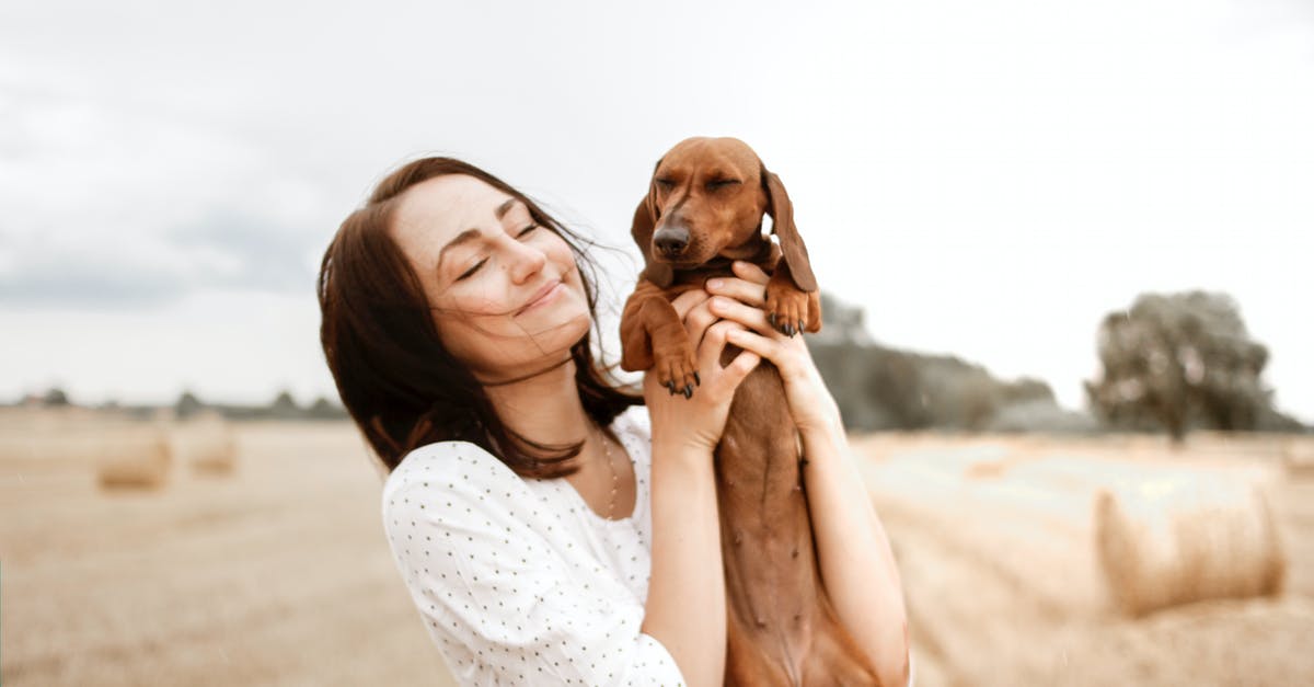 What does the smile in Railley lips signify? - Smiling Woman Carrying Brown Dachshund