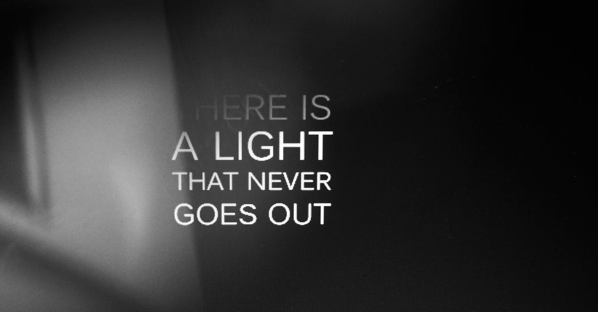 What exactly did Dominique say to Karol at the end of "Three Colors White"? - Here Is a Light That Never Goes Out Quotes