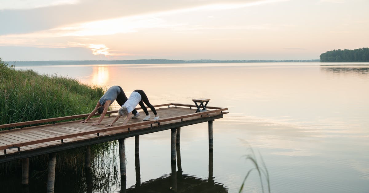 What exactly is bicameral mind? - Woman in Black Shirt Sitting on Brown Wooden Dock