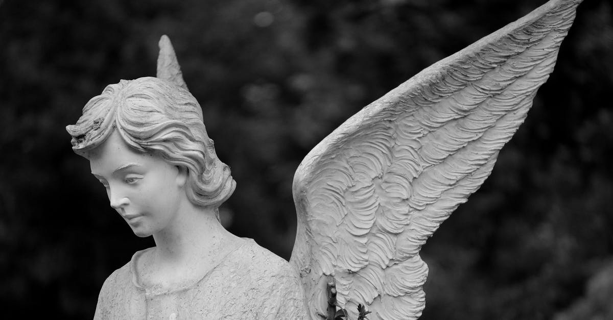 What happened to Angel Dust at the end? - Angel Statue in Grayscale Photography