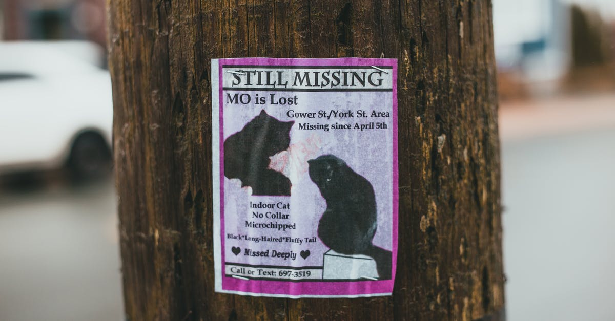 What happened to Miss Gulch? - Announcement of missing cat hanging on tree