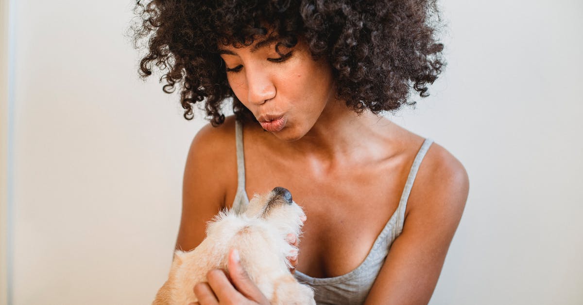 What happened to the other dog? - Cheerful African American female in domestic clothes hugging cute puppy against white wall at home