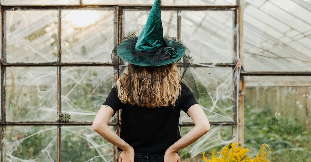 What happened to the Witch? - Woman in Black Shirt Wearing Green Hat Standing Near Yellow Flowers