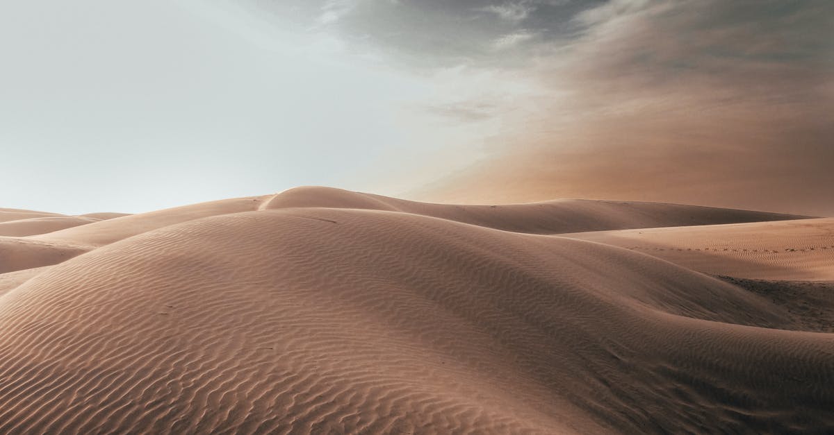 What is "distorting wide angle for a medium shot"? - Brown Sand