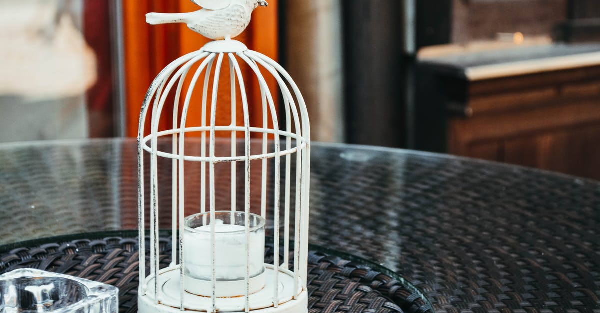 What is the bird and/or the birdcage supposed to represent while Hank and Leticia have sex? - White Bird Cage