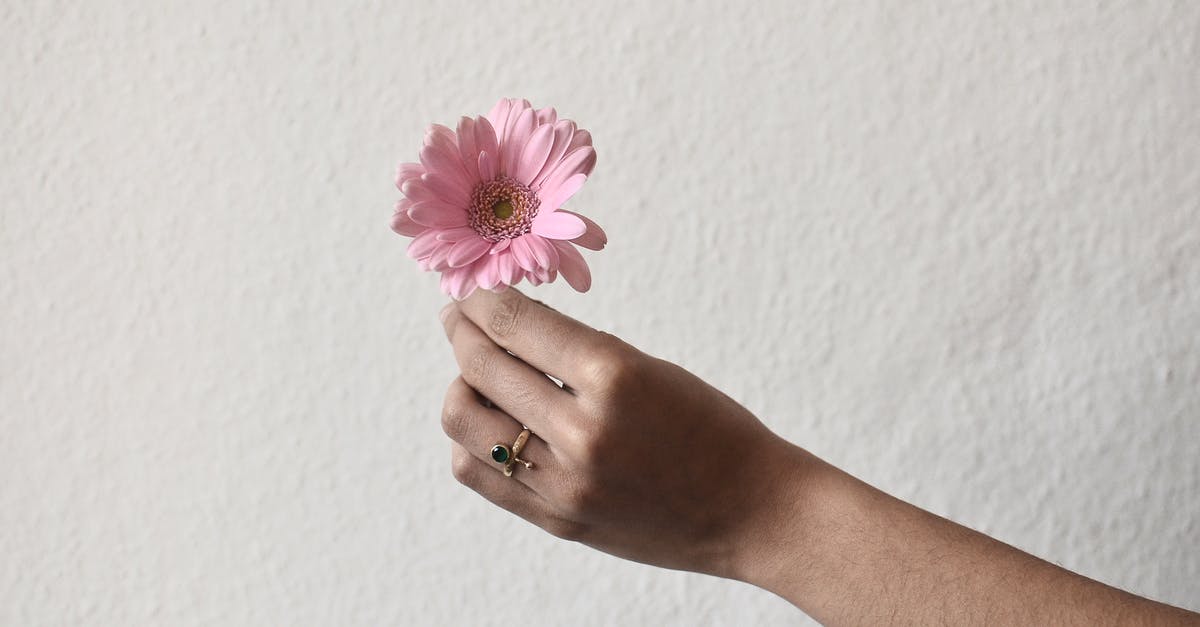 What is the first movie to show present + flashback in single frame? - Unrecognizable person with golden ring on finger demonstrating small single flower with pink petals in hand on rough white background
