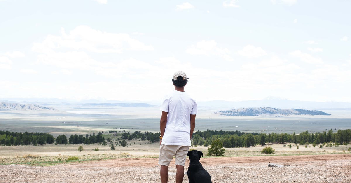 What is the first occurence of a sequence of short shots of the same length separated by fade ins/outs? - Man in White T-shirt and Shorts Standing Near His Black Dog