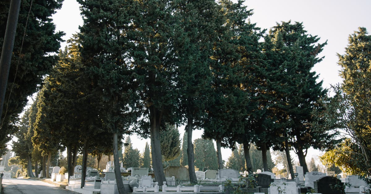What is the history of the Deathly Hallows? - Aged cemetery with green trees