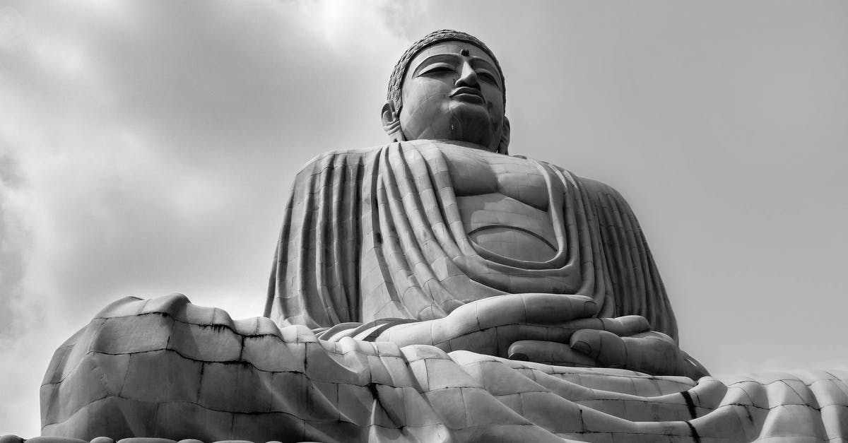 What is the meaning of Kara's dialogue, "Thank God it vibrates"? - Grayscale Photo of Buddha Statue