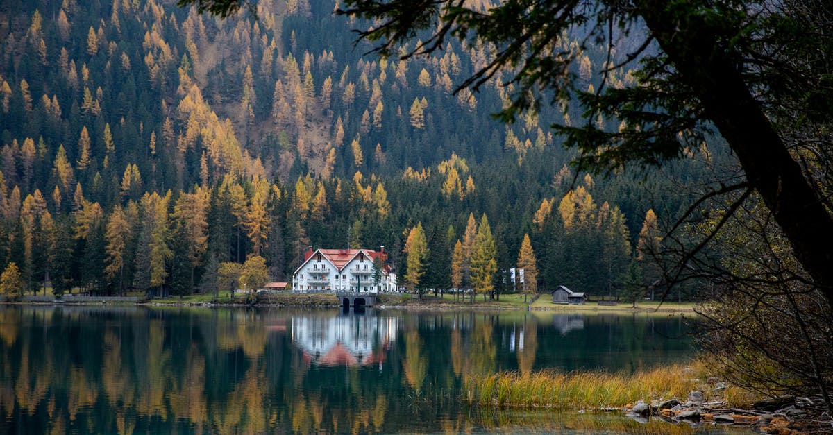 What is the meaning of skating scenes in The Lake House? - Picturesque view of lake and forest in mountains