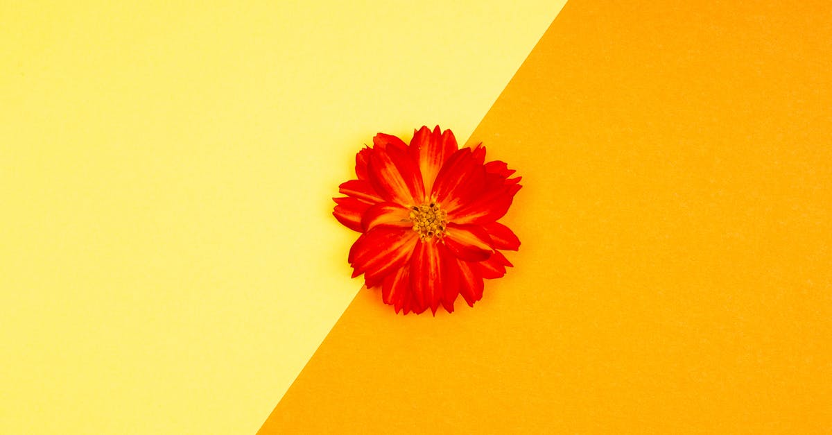 What is the meaning of this line at the beginning of the movie? - Orange Flower on Orange Paper