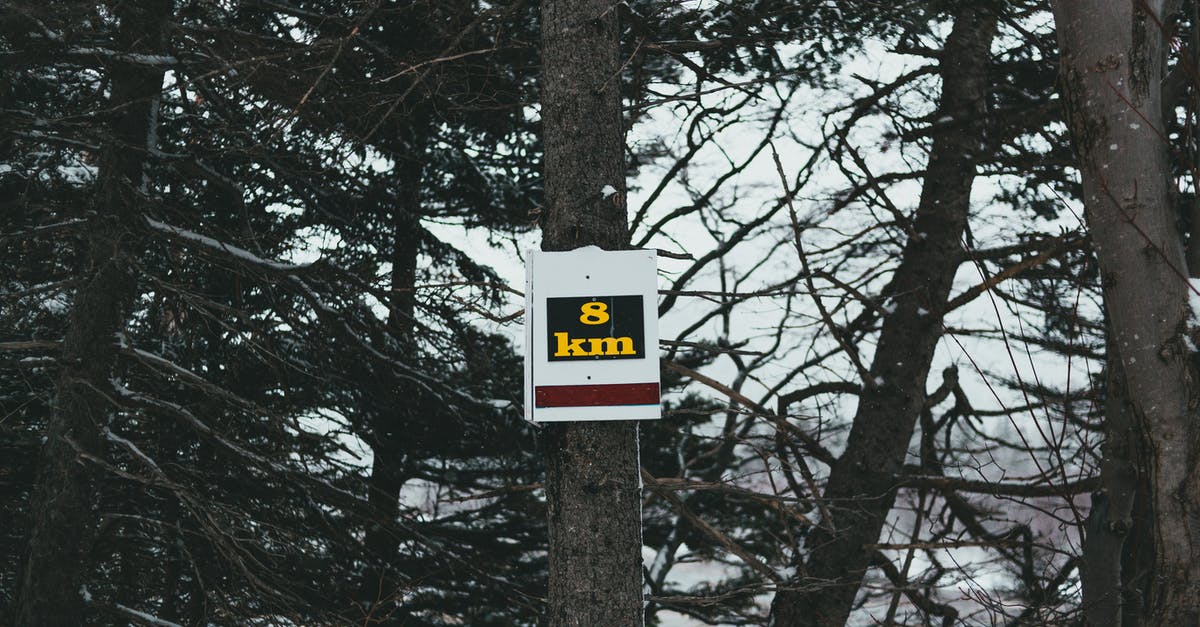 What is the message behind Where the Wild Things Are? - Sign placed on tree in winter forest