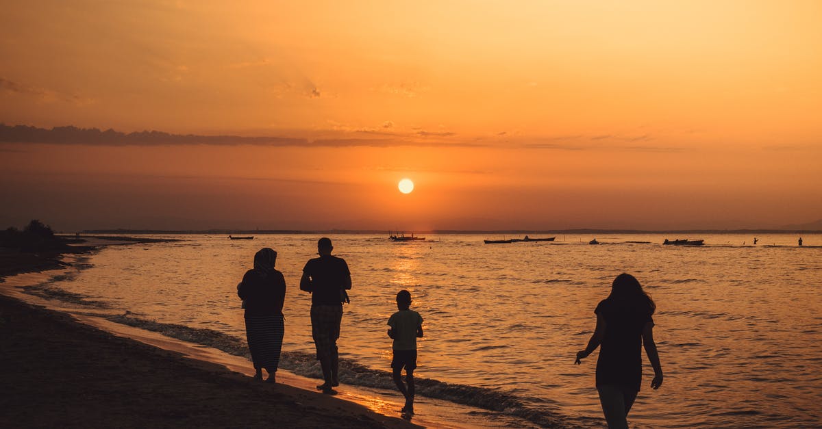 What is the nature of the Nuclear Family? - Silhouette Of People Walking On Seashore During Sunset