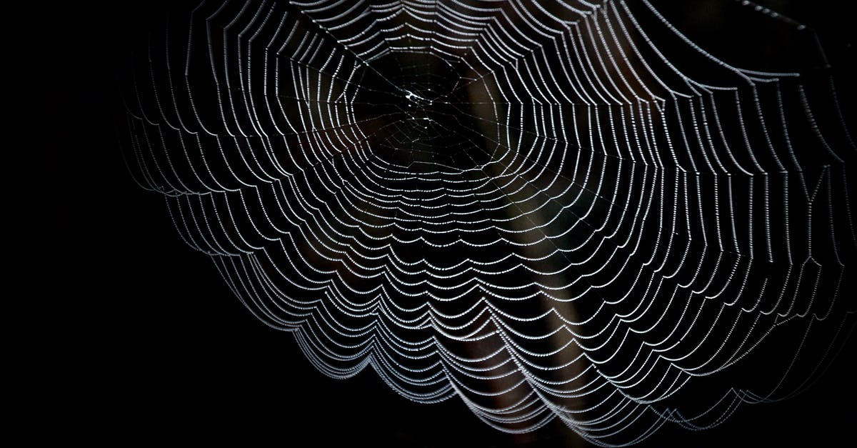 What is the .onion URL at the end of Unfriended: Dark Web? - Closeup Photography of Spider Web