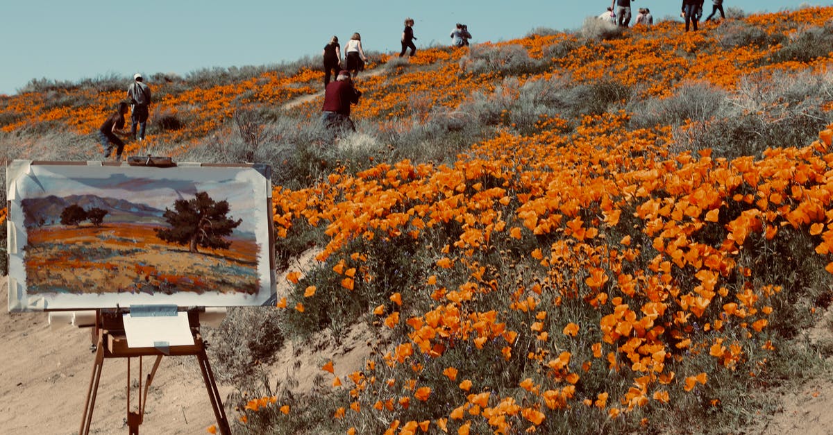 What is the painting in the end credits of 'La Piovra' season 4? - People Walking on Orange Flower Field