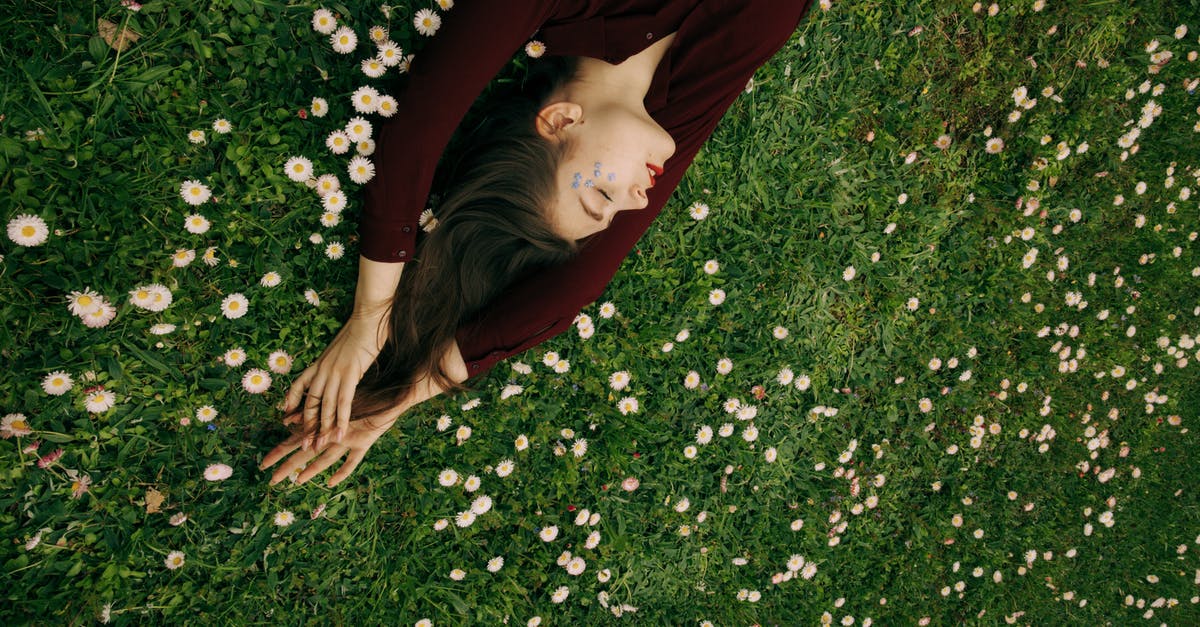 What is the purpose of the inverted gravity? - Woman in Maroon Long Sleeve Shirt Lying on White Flower Field