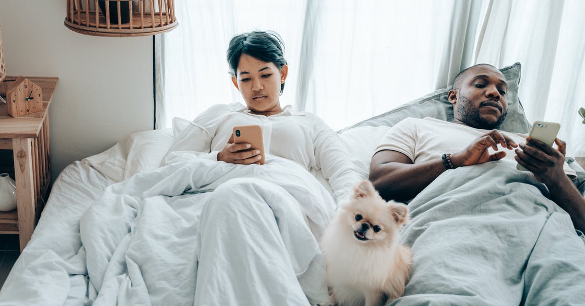 What is the purpose or message behind the dog figurine that Bond receives? - Focused young diverse spouses lying in bed in morning with cute Pomeranian Spitz and browsing smartphones