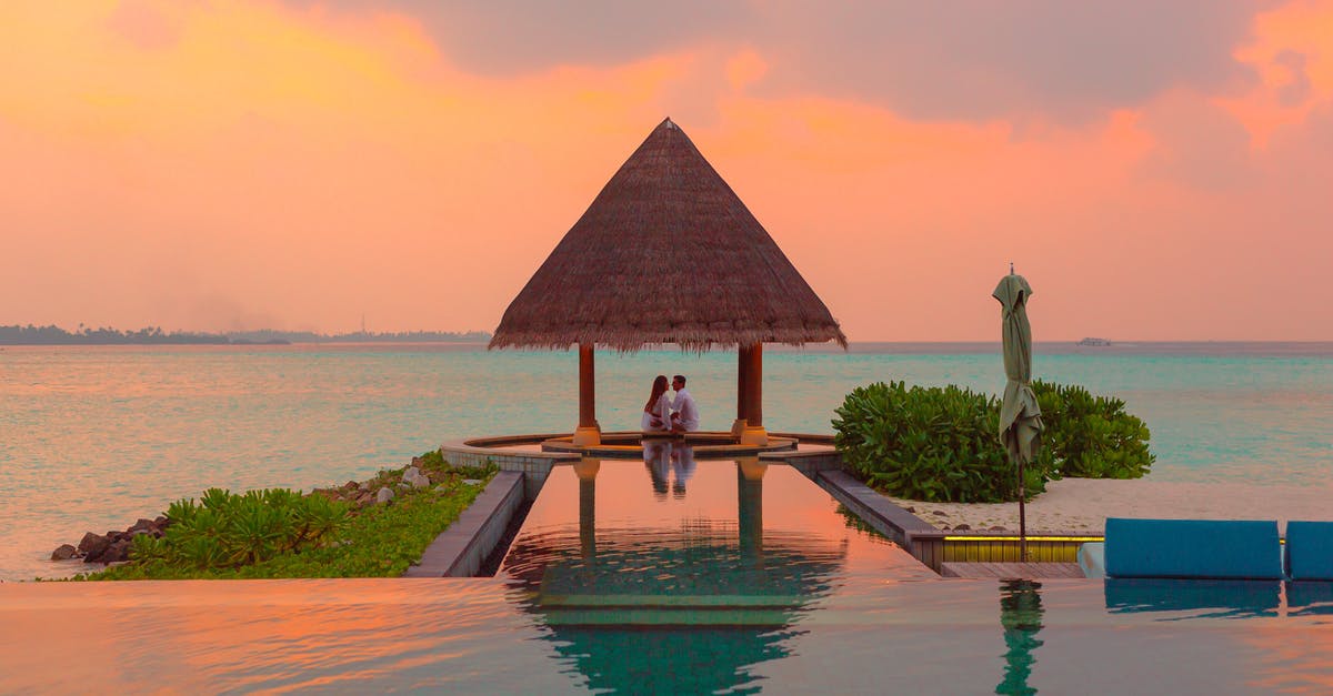 What is the relation of the butler to the protagonist? - Couple Under Hut Beside Sea and Infinity Pool