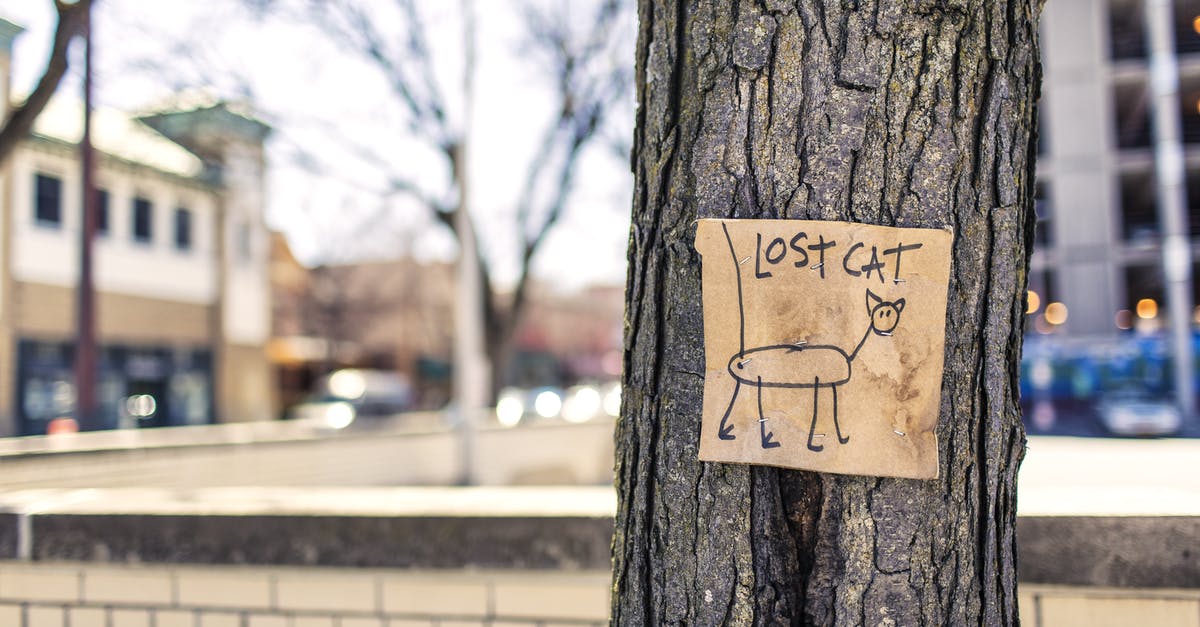 What is the significance of cat's missing eye? - Macro Photography of Brown and Black Lost Cat Signage on Black Bare Tree