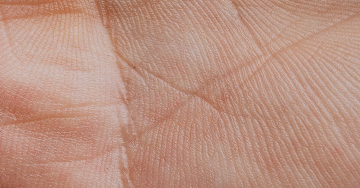 What is the significance of Palmistry prop hand in Michael Jennings house? - Extreme Close-up View Of A Human Palm 