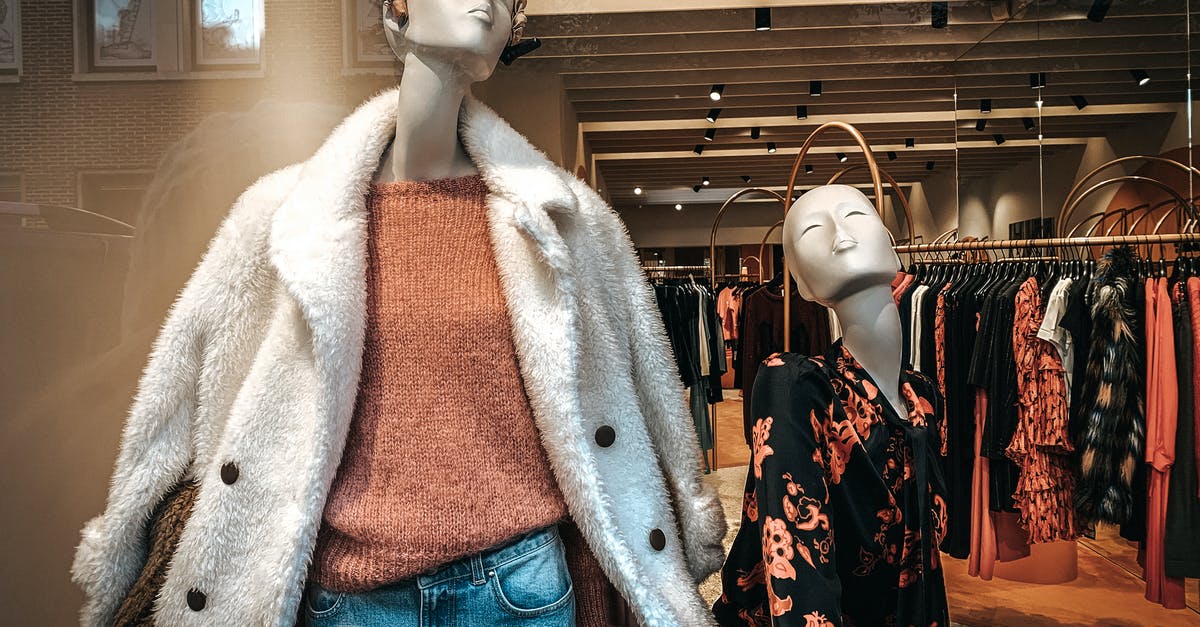 What is the significance of the appearance of the wolf? - Through glass of clothes shop with mannequins in trendy clothes and stands with dresses