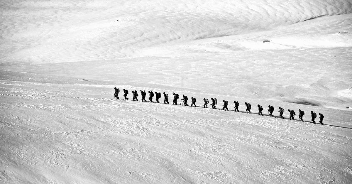 What is the significance of the ending line of Brokeback Mountain? - People Walking on Snow Field Grayscale Photography