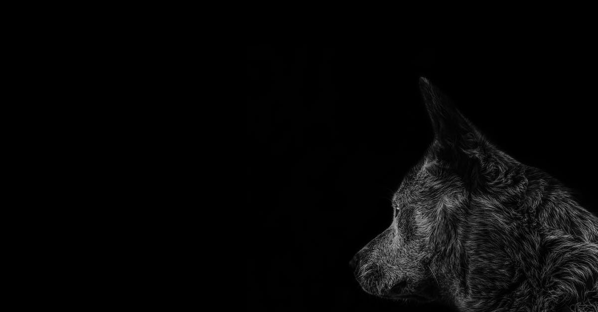 What is the significance of the ghostly black wolf? - Gray Timber Wolf