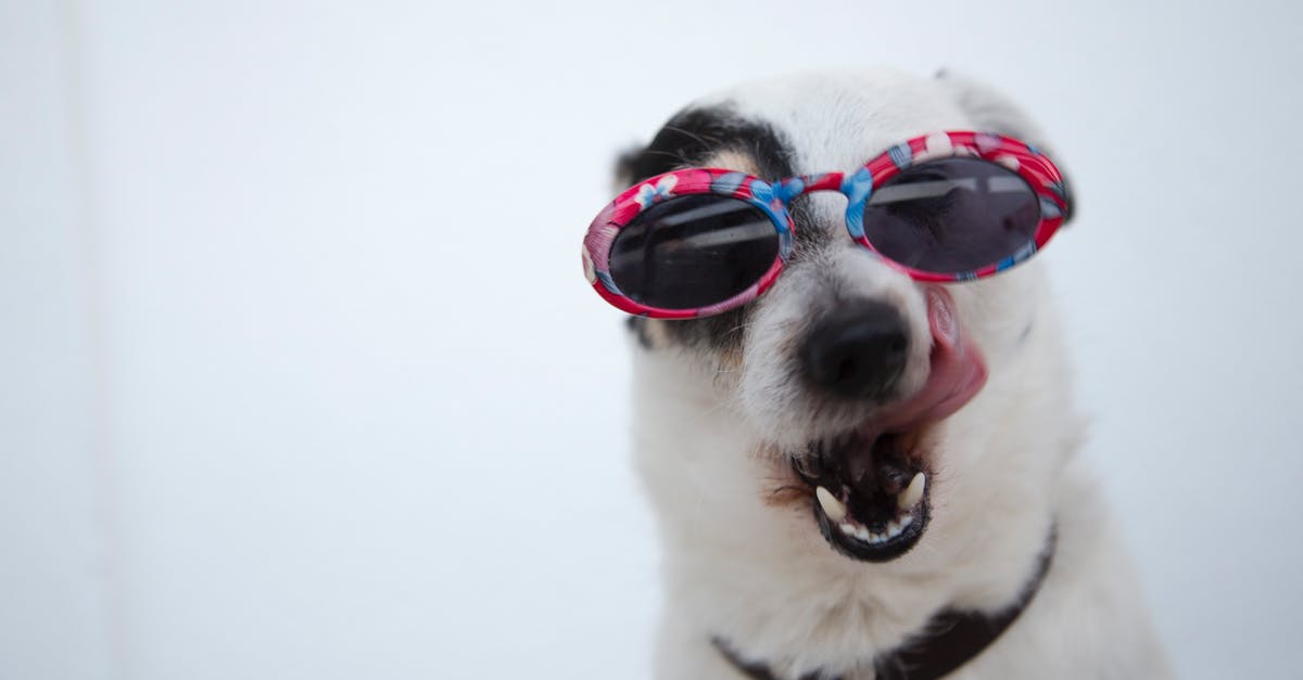 What is the significance of the sheriff's colored sunglasses in Kill Bill vol 1? - Close-Up Photo of Dog Wearing Sunglasses