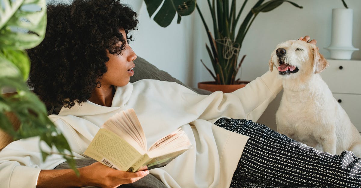 What is the story of Leon's plant? - African American female in domestic clothes resting on comfortable sofa with book and stroking adorable puppy