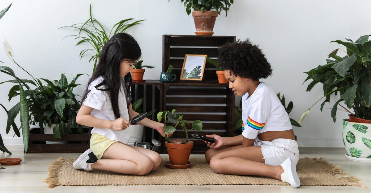 What kind of corn did Ray grow? - Side view of multiethnic kind girls with magnifier and pruning shear growing green potted plant while sitting on carpet in modern room
