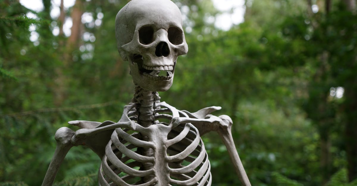 What part of Buttercup's anatomy is Westley commenting on? [closed] - Selective Focus Photography of Skeleton