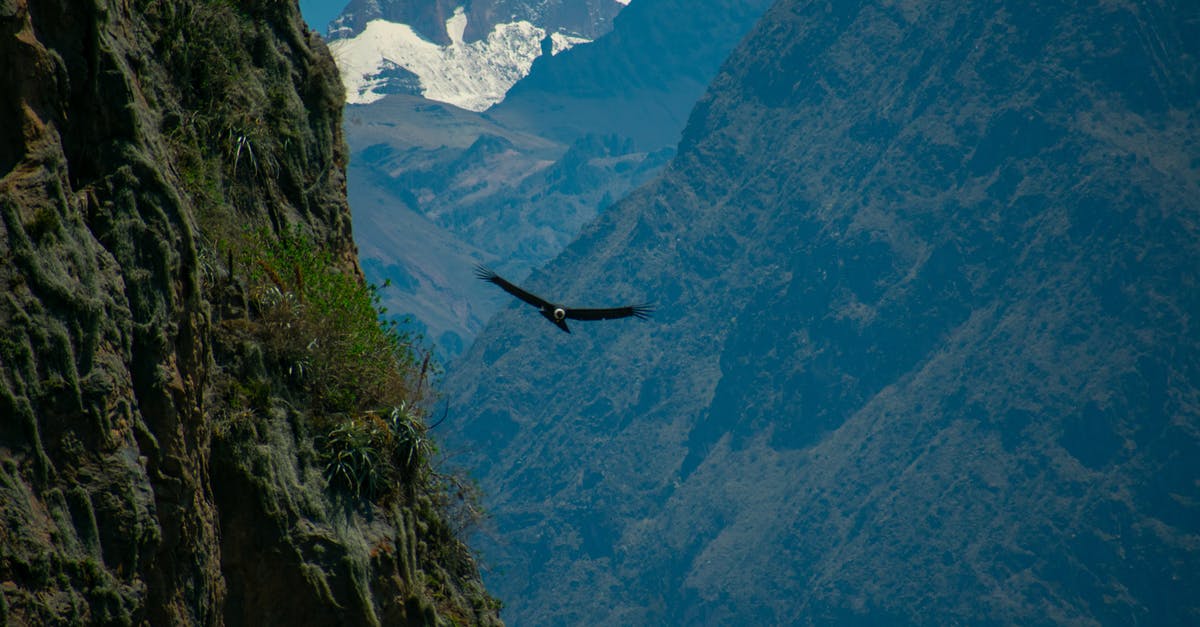 What real-world mountain was used in Where Eagles Dare? - Black Bird Flying over the Mountains