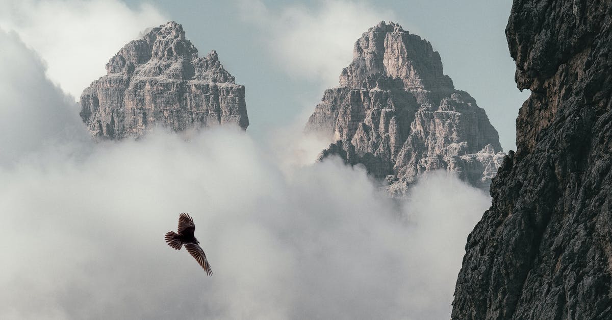 What real-world mountain was used in Where Eagles Dare? - Brown Bird Flying Near Mountain