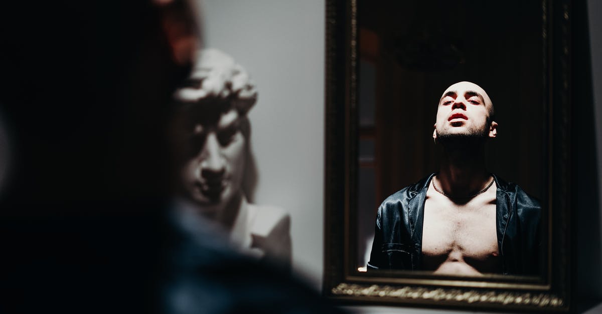 What was happening in "In a Mirror Darkly"? - Man In Front of The Mirror