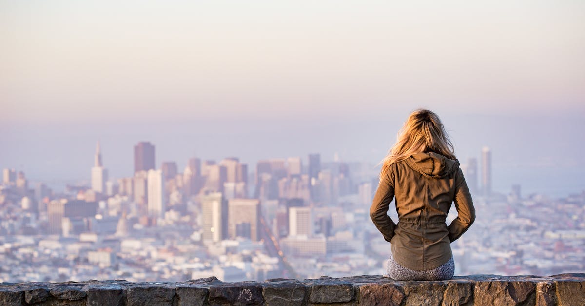 What was Skynet doing with the humans in San Francisco? - Woman on Rock Platform Viewing City