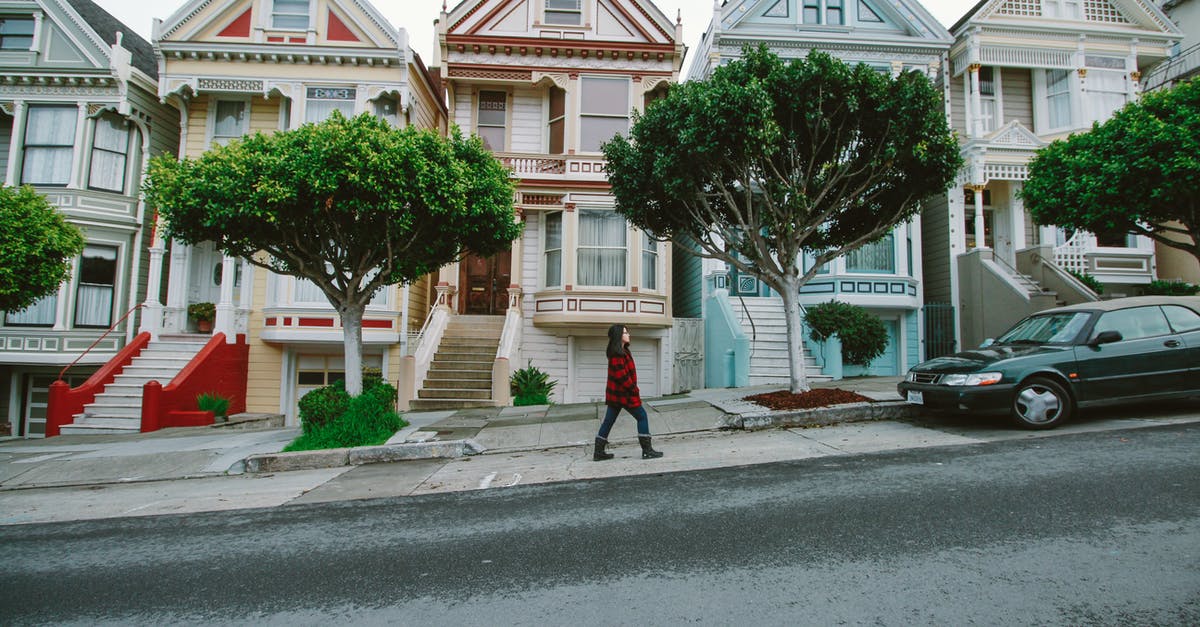 What was Skynet doing with the humans in San Francisco? - Woman Walking Toward Black Sedan Parked In Front of Colorful Houses