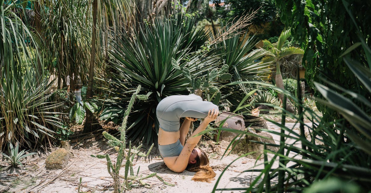 What was Stratton Oakmont doing that was actually illegal? - A Woman Practising Yoga in a Garden
