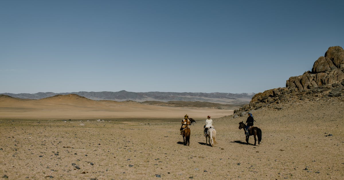 What was supposed to be happening with the horsemen and the merry-go-round shown in the end? - Back view anonymous equestrians riding horses on spacious hilly arid terrain under clear sky