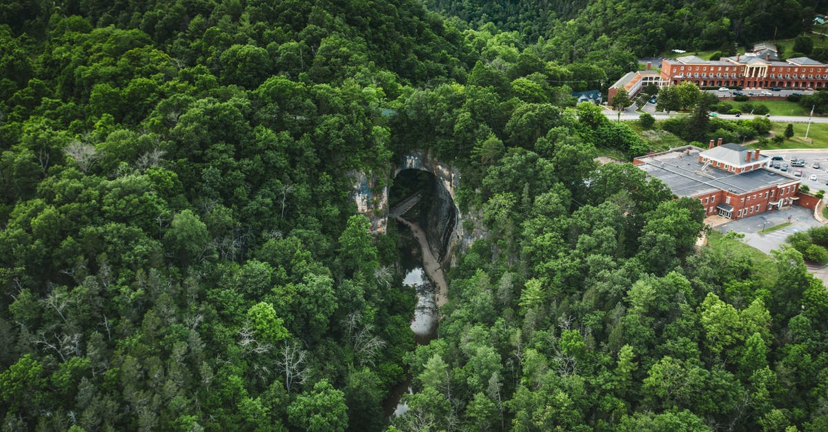What was the meaning of the tunnel scene? - Road in mountain tunnel surrounded by greenery forest and houses