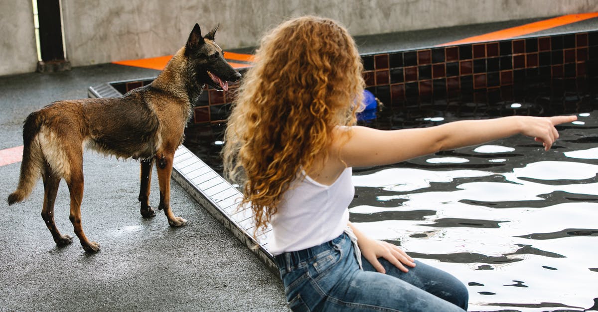 What was the point of A Scanner Darkly being animated? - Side view of anonymous woman with curly hair pointing with finger at pool against attentive dog outdoors