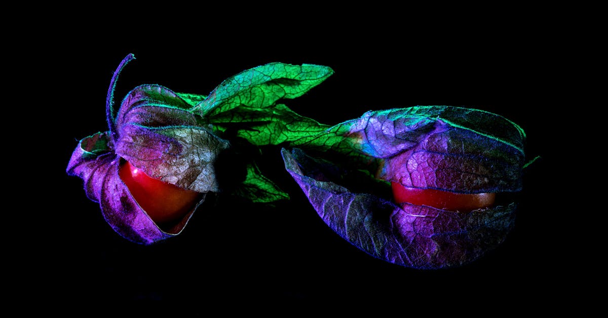 What was the point of the Bank and the pink cockroaches? - Physalis with dry leaves in neon light